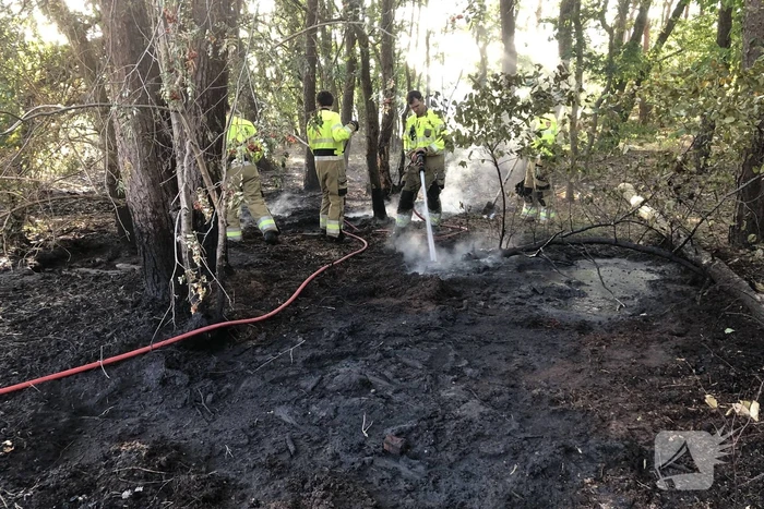 Opnieuw brand in bosgebied