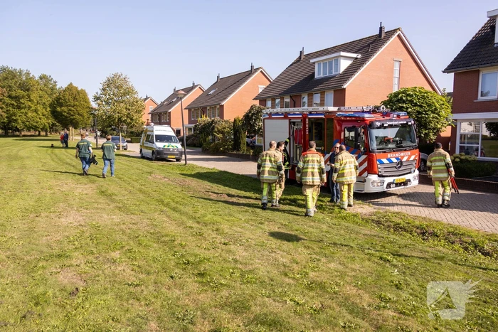 Kinderen vinden egel in nood bij actie WorldCleanupDay