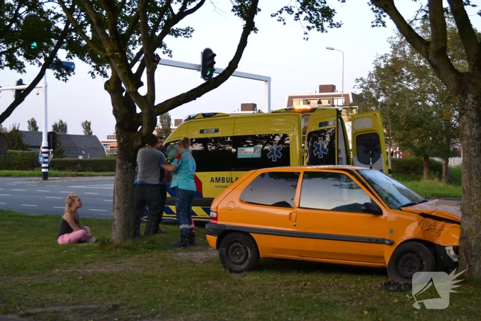 Twee personen gewond na botsing tegen boom