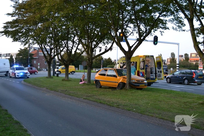 Twee personen gewond na botsing tegen boom
