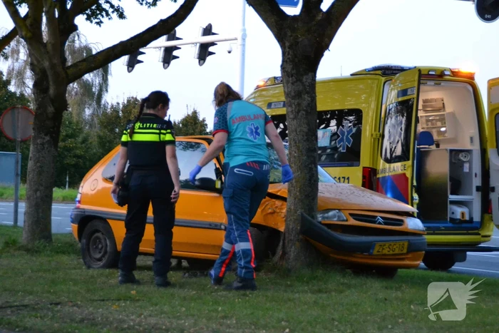 Twee personen gewond na botsing tegen boom