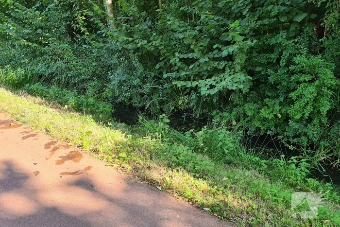 Omstanders redden man onder invloed uit water