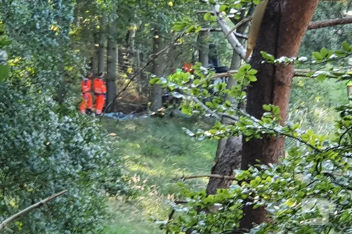 Auto vliegt van de snelweg belandt tussen de bomen
