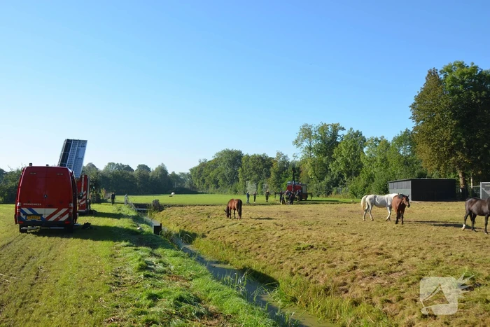 Paard belandt in sloot en zit vast