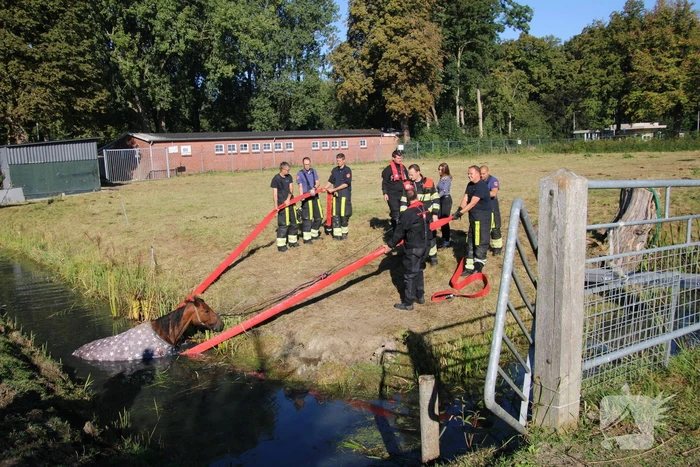 Paard belandt in sloot en zit vast