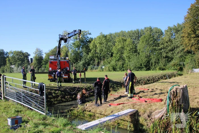 Paard belandt in sloot en zit vast
