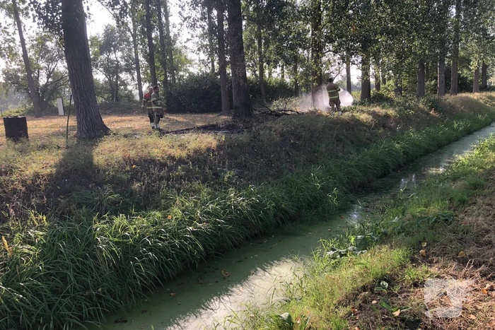 Bladeren en takken in brand
