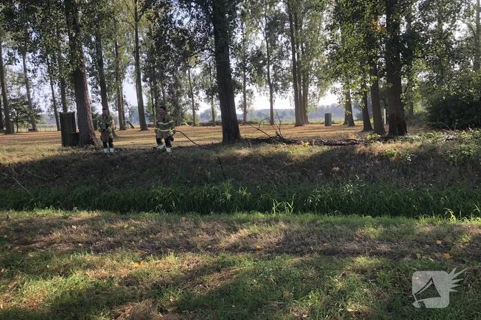 Bladeren en takken in brand