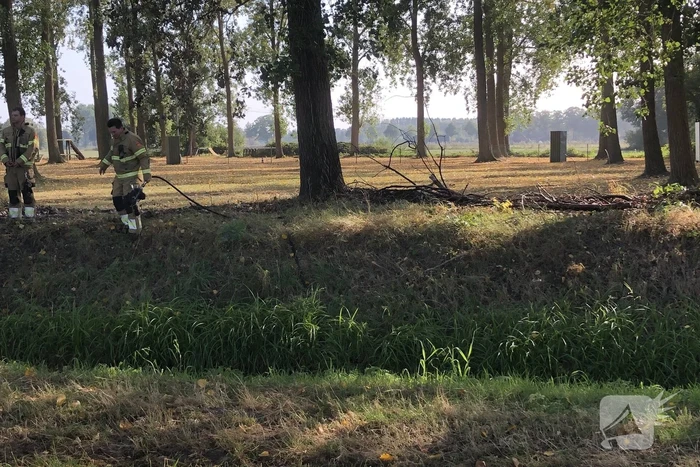 Bladeren en takken in brand