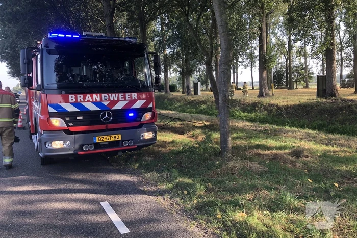 Bladeren en takken in brand