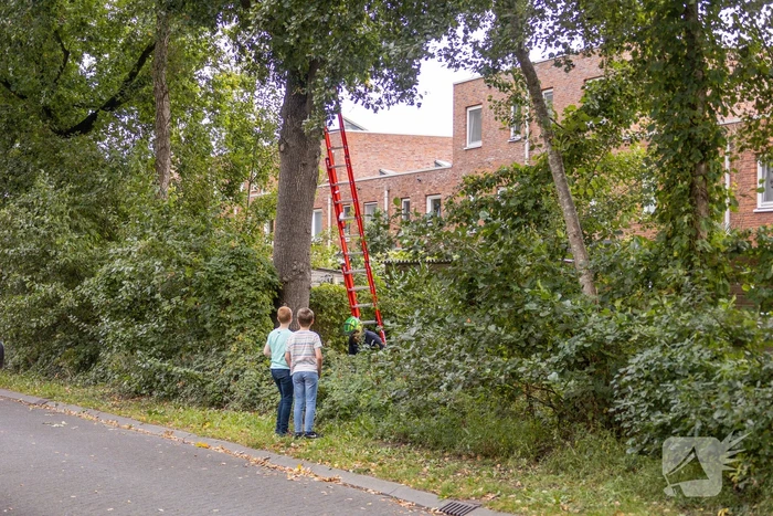 Gevaarlijk hangende tak snel verwijderd