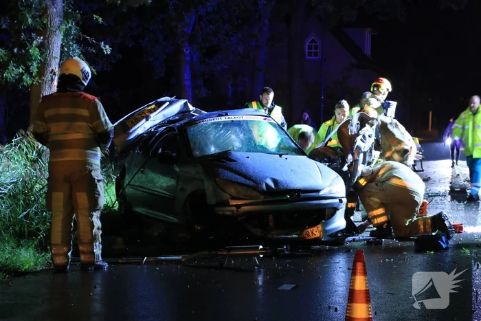 Auto slaat over de kop en raakt boom