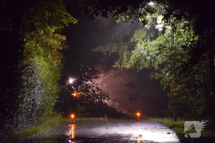 Meerdere bomen waaien om door storm Odette