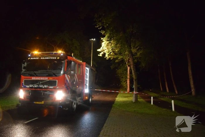 Meerdere bomen waaien om door storm Odette