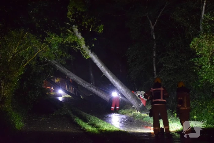 Meerdere bomen waaien om door storm Odette