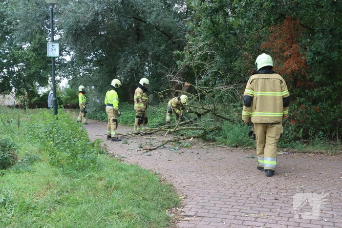 Boom breekt af en belandt op fietspad