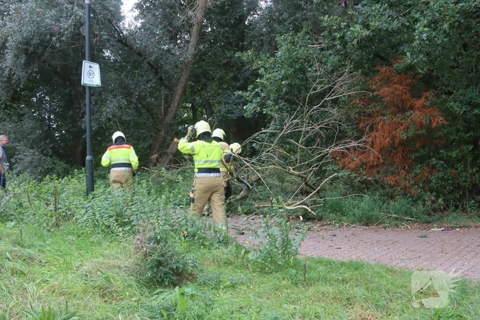Boom breekt af en belandt op fietspad