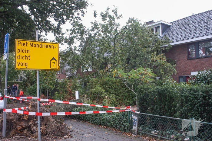 Grote boom valt om tegen woning