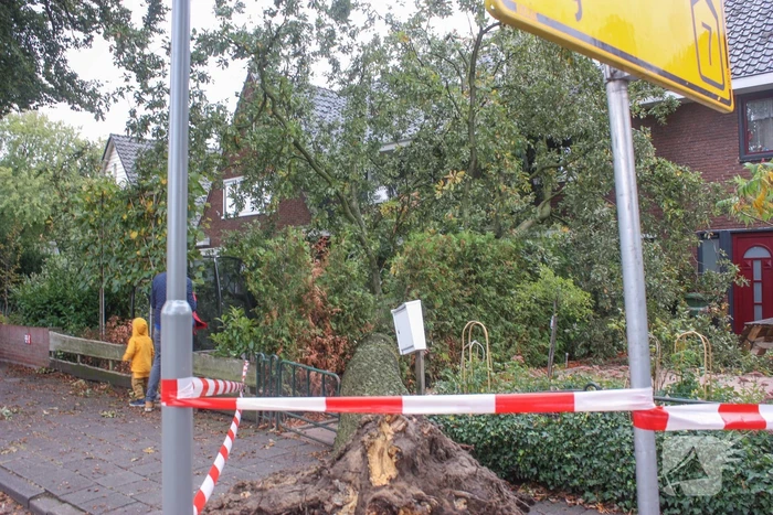 Grote boom valt om tegen woning