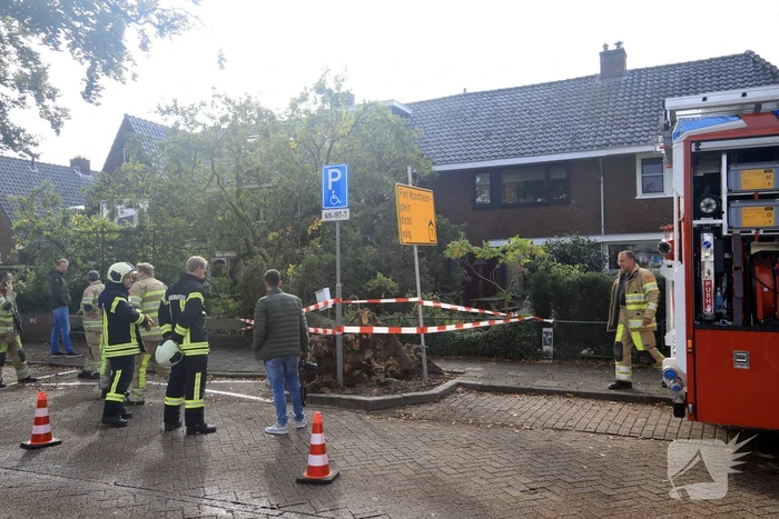 Grote boom valt om tegen woning