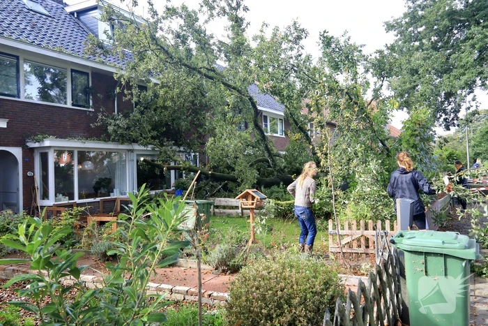 Grote boom valt om tegen woning