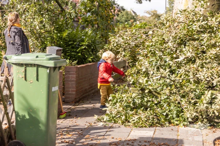 Grote boom valt om tegen woning