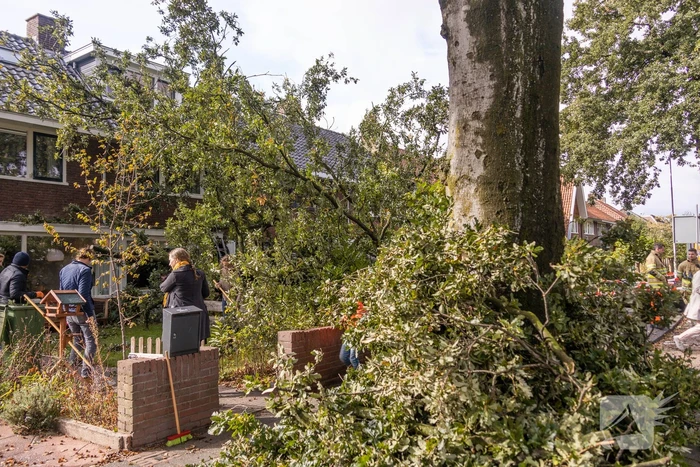 Grote boom valt om tegen woning