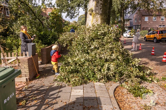 Grote boom valt om tegen woning