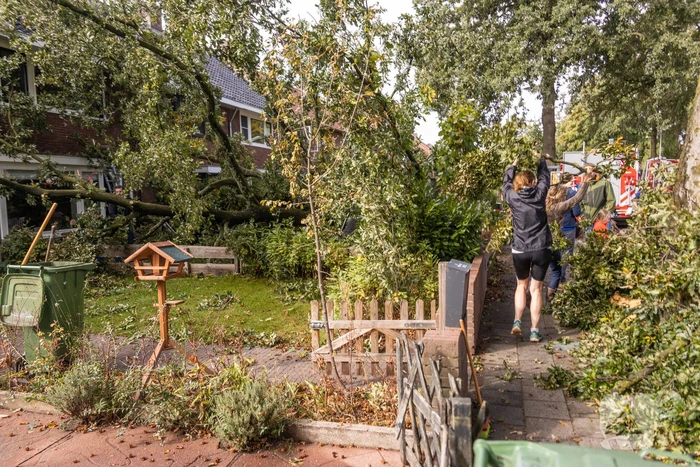 Grote boom valt om tegen woning