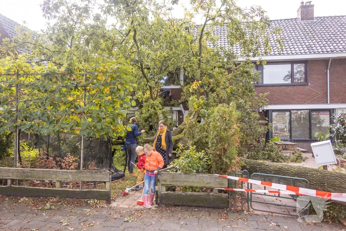 Grote boom valt om tegen woning