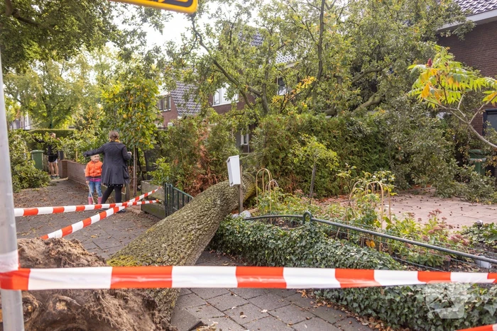 Grote boom valt om tegen woning