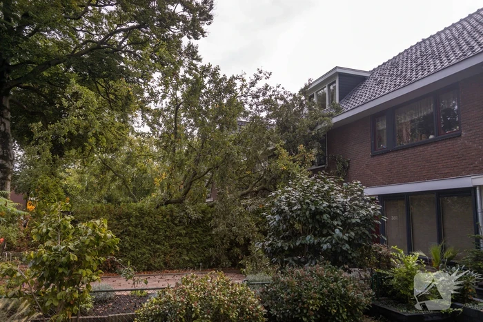 Grote boom valt om tegen woning