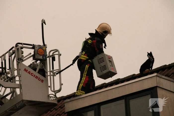 nieuws carry pothuiserf voorschoten