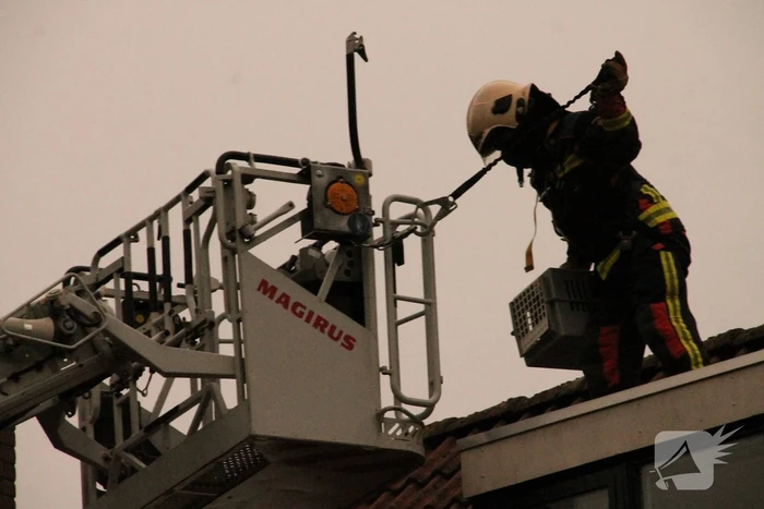 Brand redt kat van het dak
