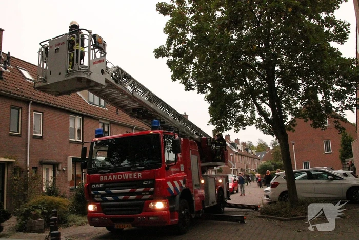 Brand redt kat van het dak