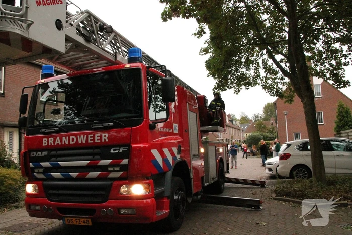 Brand redt kat van het dak