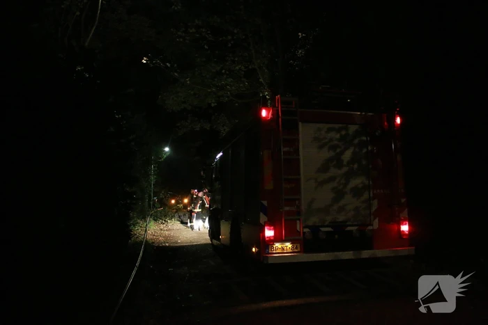 Flinke tak valt uit boom