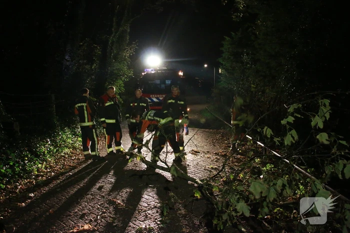 Flinke tak valt uit boom