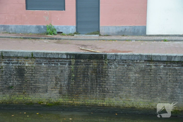 Persoon door omstanders uit het water gehaald