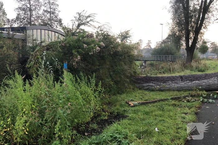 Omgevallen boom blokkeert fietspad en pakeerplaats