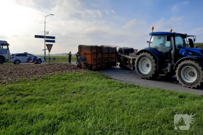 Wegdek bezaaid met net geoogste uien