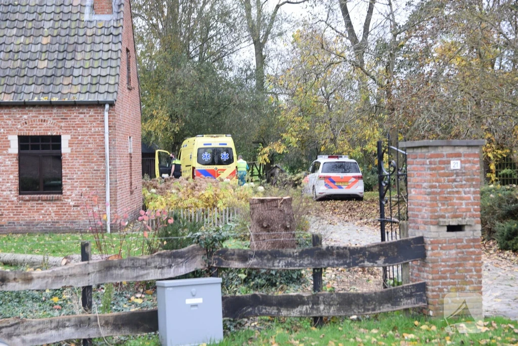 Koewacht