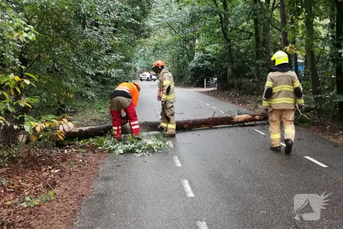 nieuws dikkenbergweg bennekom