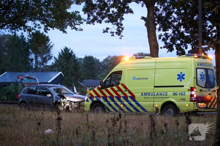Bestuurder botst met auto op boom