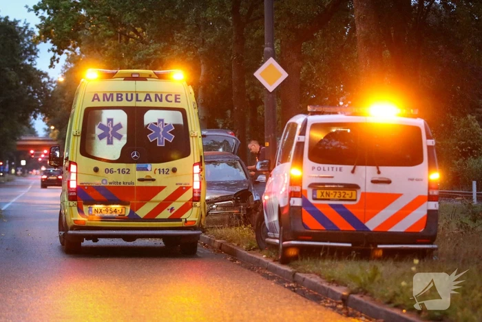 Bestuurder botst met auto op boom