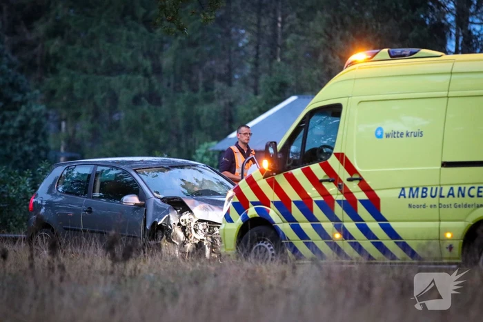 Bestuurder botst met auto op boom