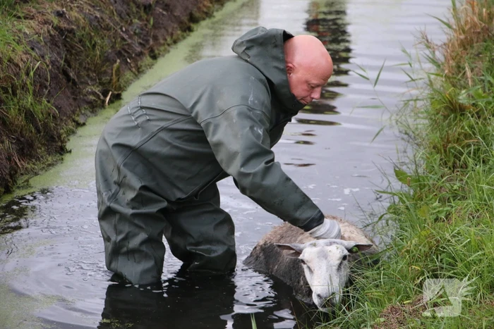 nieuws leidsevaart - n444 voorhout