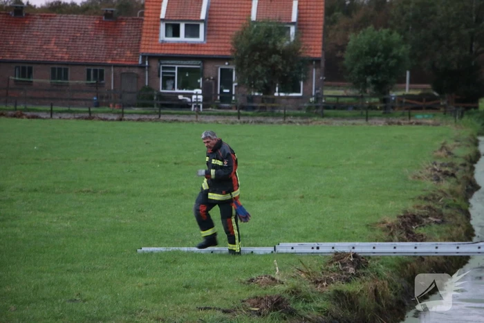Brandweer redt schaap uit sloot