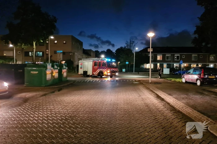 Automobilist ramt lantaarnpaal