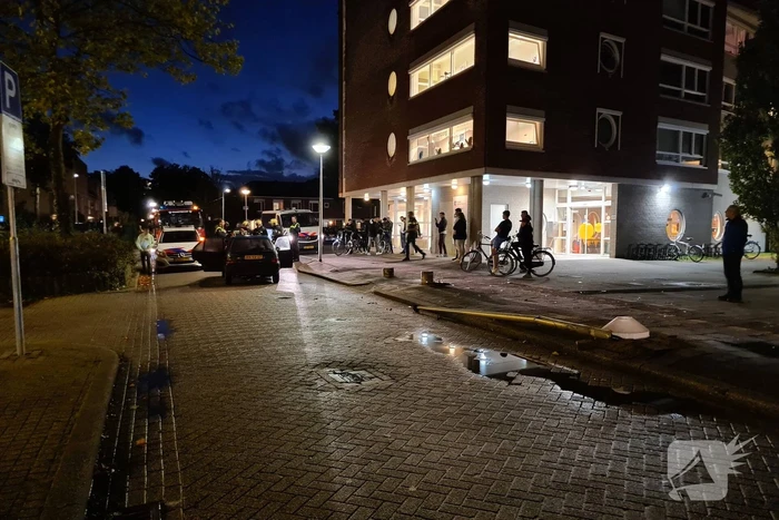 Automobilist ramt lantaarnpaal